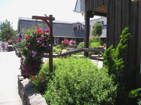 Hotels and Motels in Cannon Beach