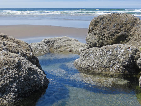 Beach in Oregon