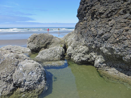 Oregon Coast Beach