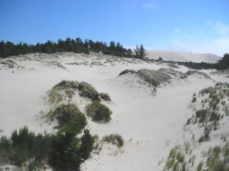 Oregon Sand Dunes