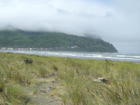Cabins and Beach Houses in Seaside Oregon